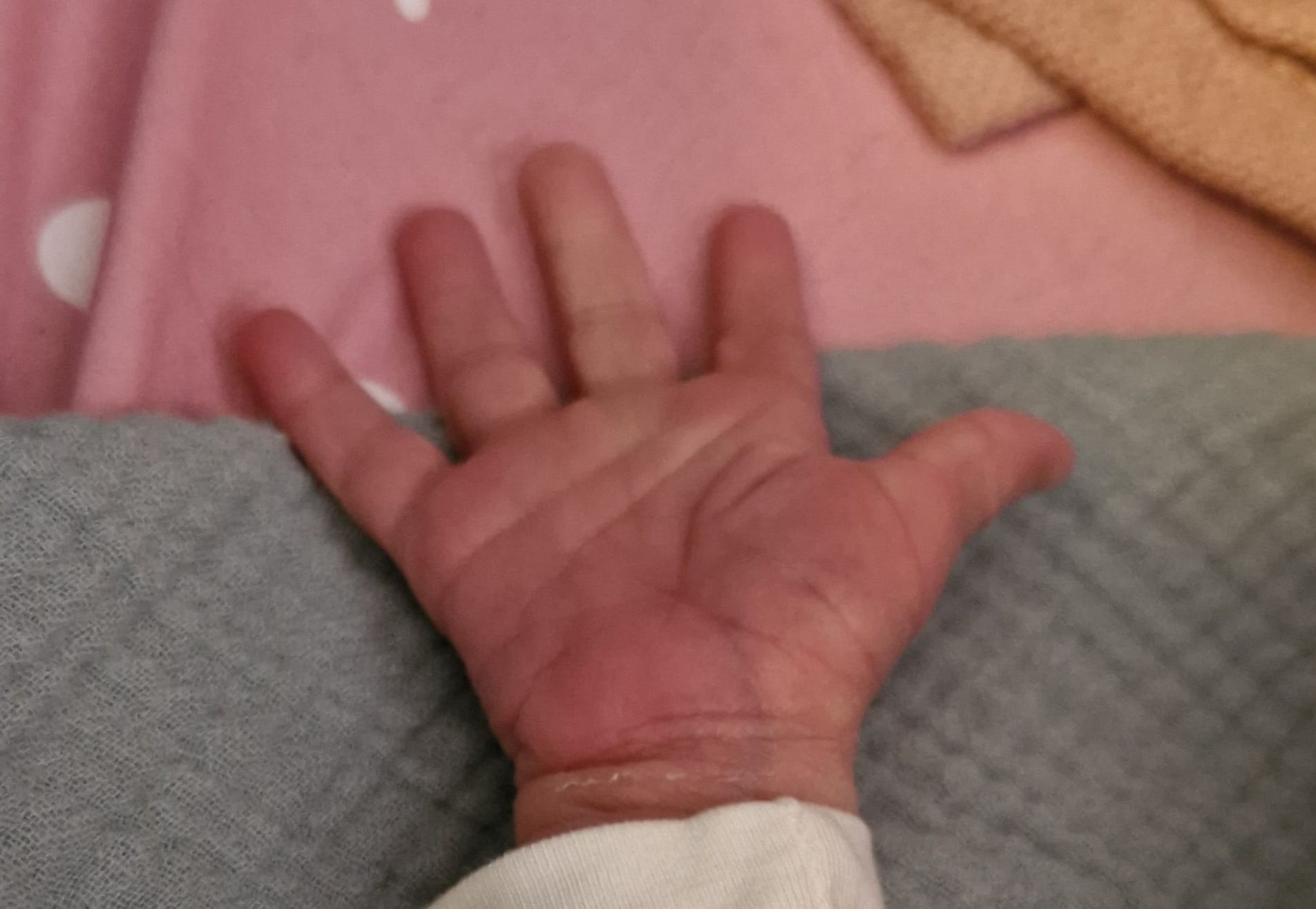 Gastouderopvang Het Tijgertje 