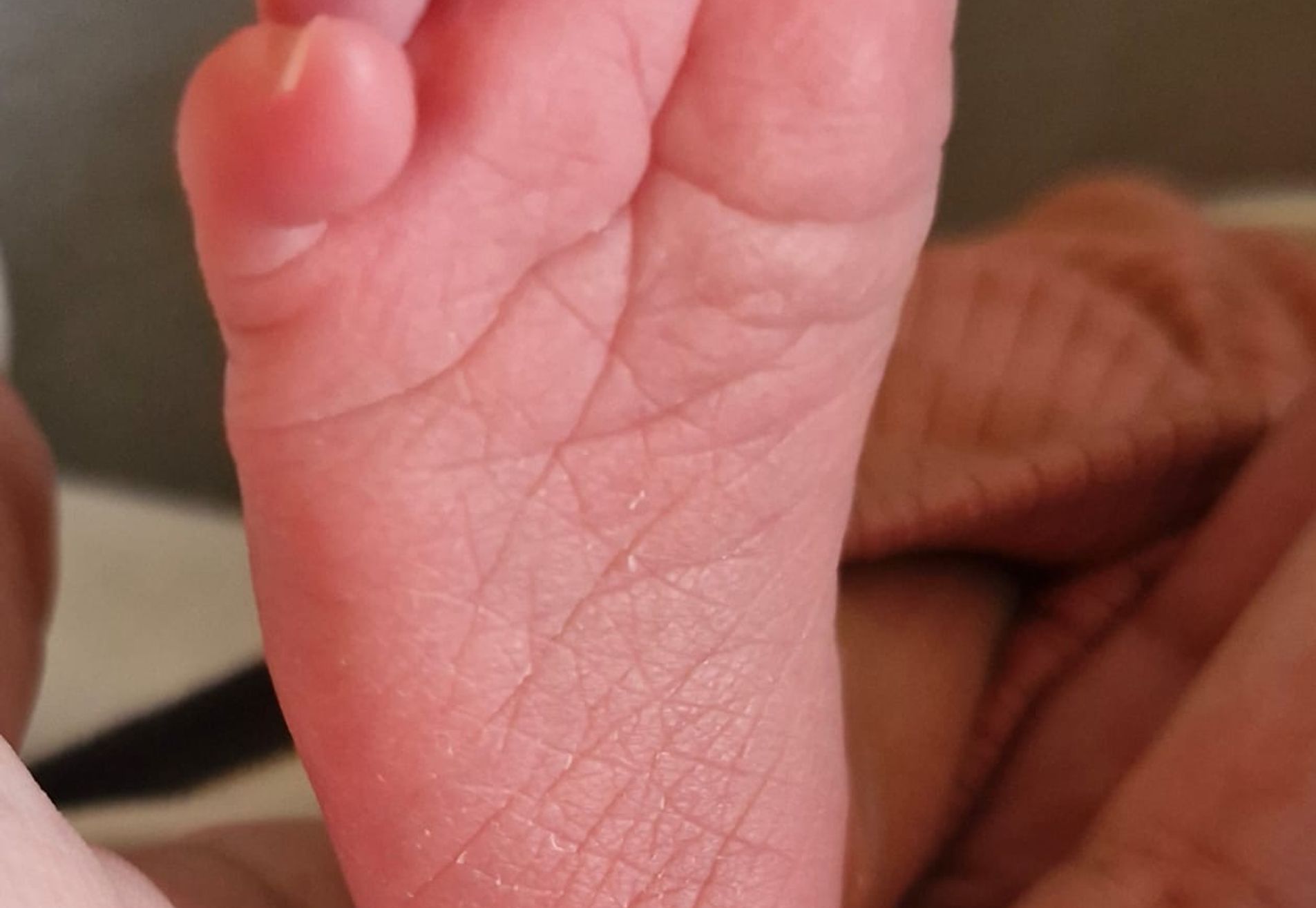 Gastouderopvang Het Tijgertje 