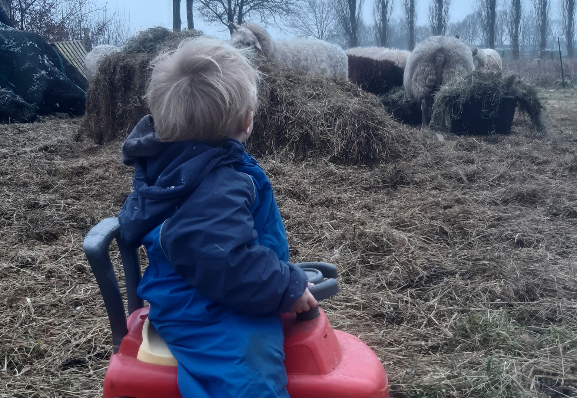 Gastouderopvang Het Peuterboertje in Linde