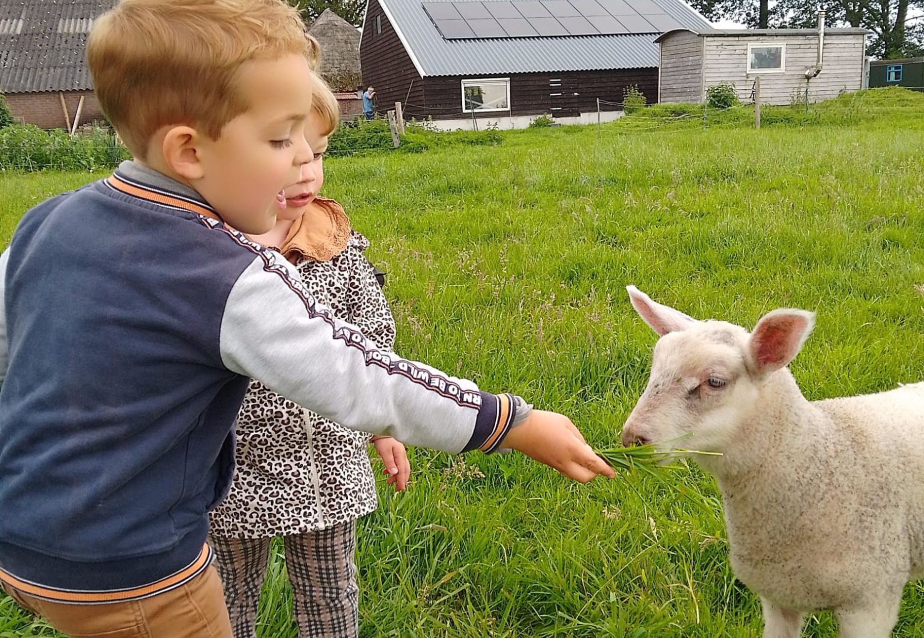 Gastouderopvang Het Peuterboertje in Linde